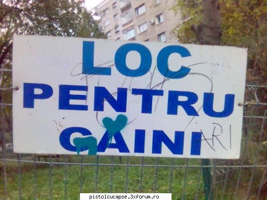 poze - ce indiferenta e veronica, cine a invatat-o sa - Discutii generale