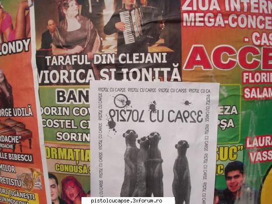 poze de la prima sesiune de lipit afise - taraful din clejani - Pistol cu capse